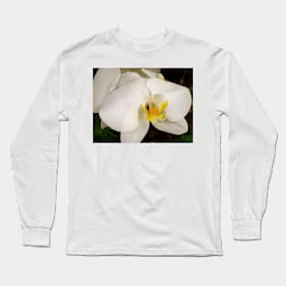 Symbol of Purity Long Sleeve T-Shirt